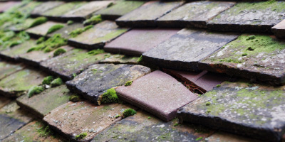 Sutton roof repair costs